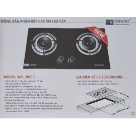 Bếp gas OWANI WN - 800B