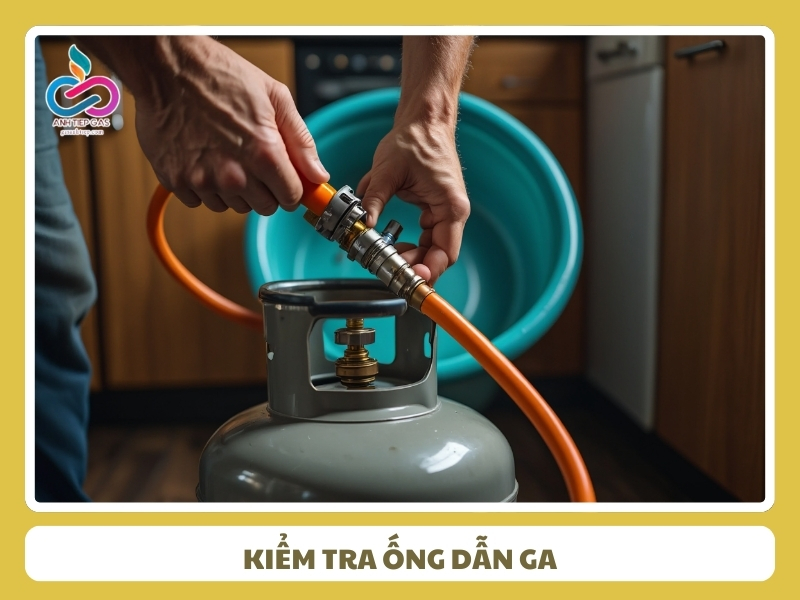 Kiem tra ong dan ga