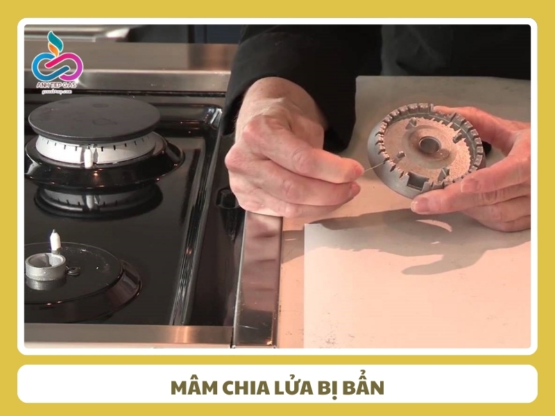Mam chia lua bi ban