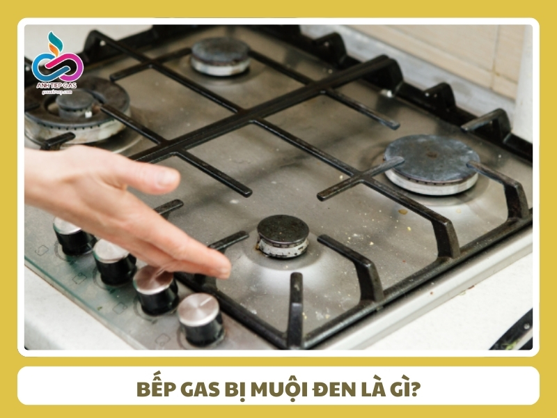 bep ga bi muoi den
