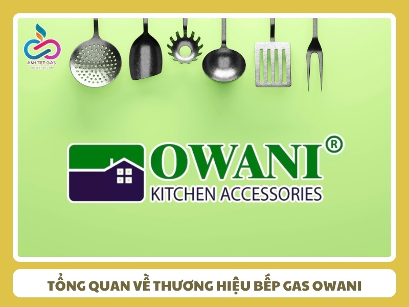 Tong quan ve thuong hieu bep gas Owani