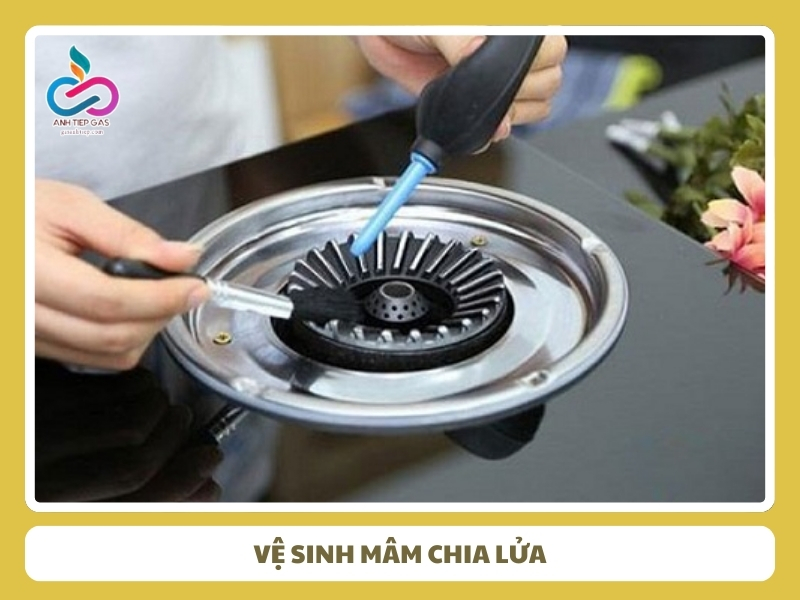 Ve sinh mam chia lua
