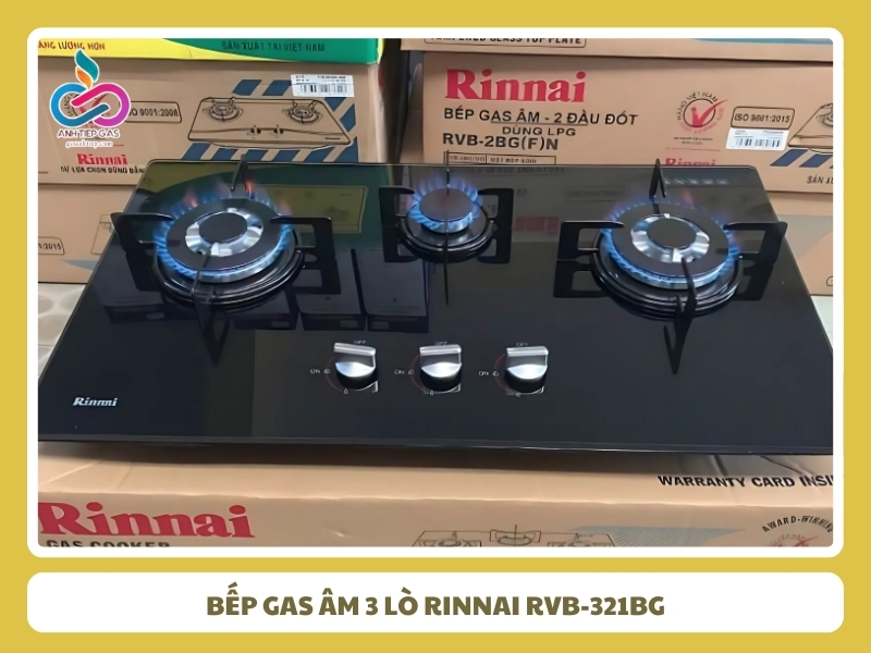 Bep gas am 3 lo Rinnai RVB 321bg