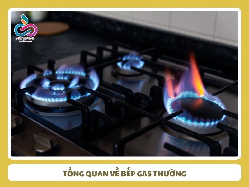 Tổng quan về bếp gas thường