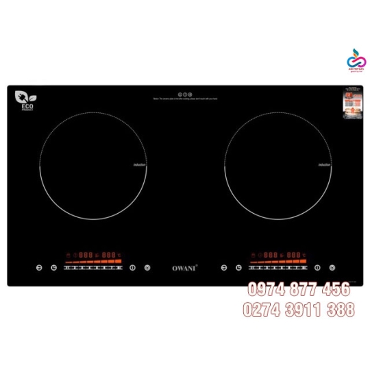 Bếp Điện Từ Owani 913PC