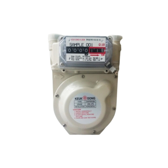 Đồng hồ đo lưu lượng gas thấp áp G1.6